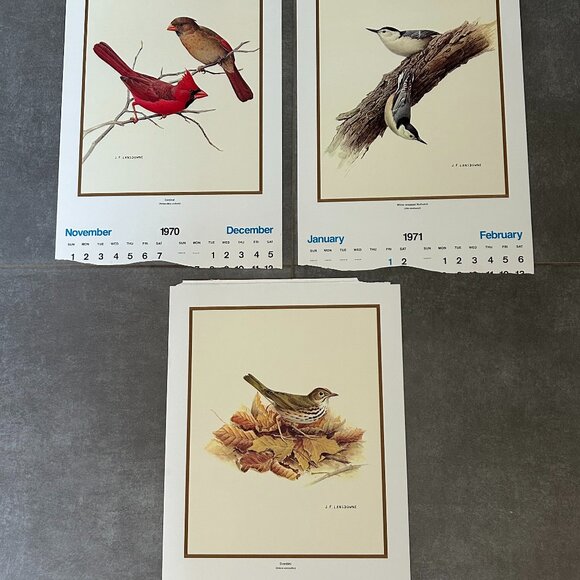 Vintage 1970 & 1971  Calendar Prints J.F. Lansdowne Birds - Picture 1 of 9
